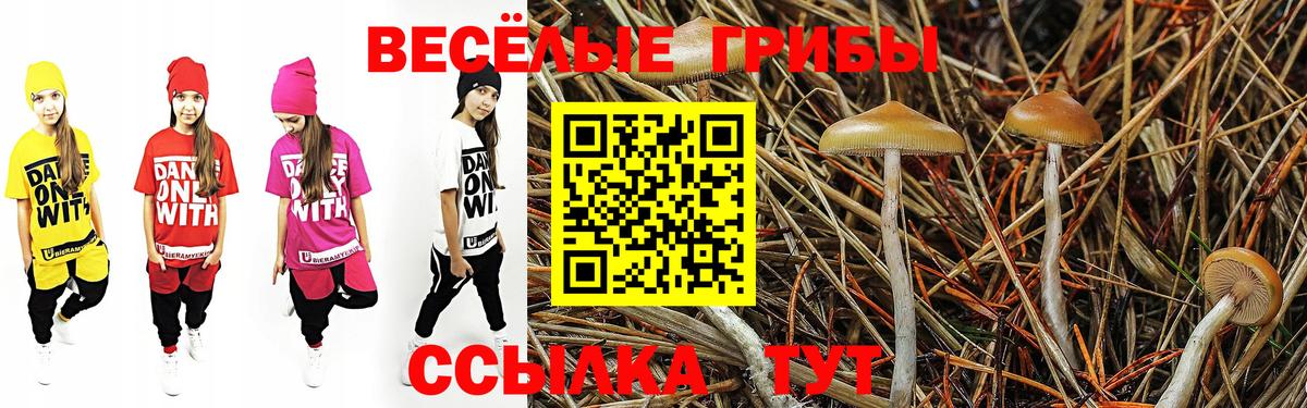 Топки  Галлюциногенные грибы Psilocybine cubensis  Вход с VPN  Псилоцибиновые грибы Magic Shrooms 